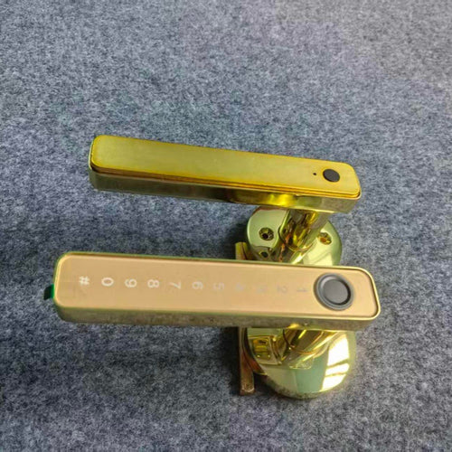 298255032-1